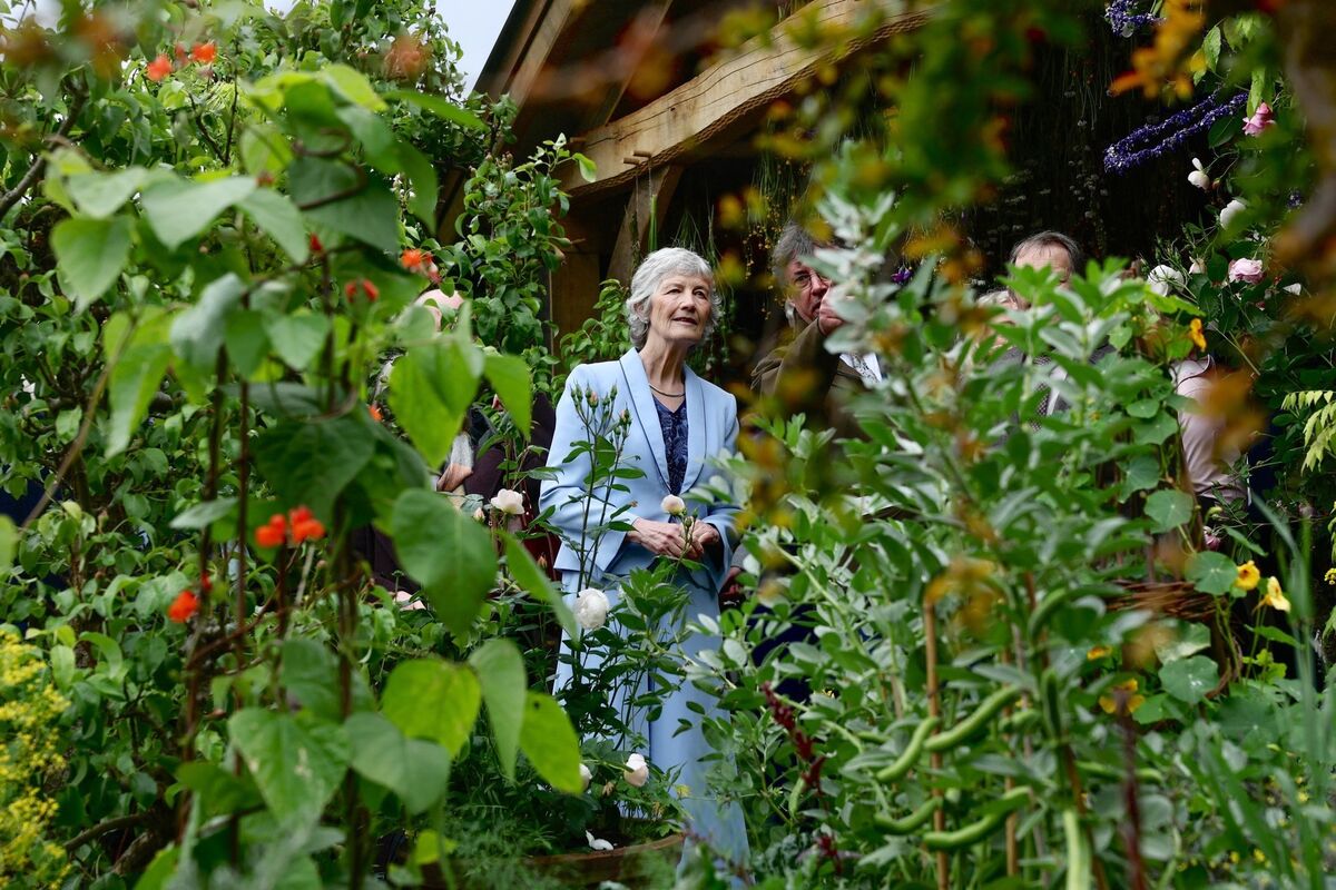 President Connolly in The King’s Foundation Curious Garden at the Chelsea Flower Show. President Connolly in The King’s Foundation Curious Garden at the Chelsea Flower Show.