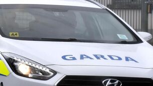 <p>Woman said she suffered from anxiety and when she was put in the patrol car she had a panic attack. Picture: Eddie O'Hare</p>