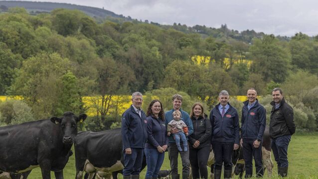 On the leased farm of John and Marie Lane, Carrigoon, Mallow, Co Cork, are Dairygold chairperson Pat Clancy; Niamh and James Maloney, along with their son Fionn, who is in a lease agreement for the farm; newly appointed Munster-based land mobility service facilitator Emma Behan; Dairygold chief executive Michael Harte; Dairygold milk supply and farm succession manager Paul O’Connell and Land Mobility Service programme manager Patrick Brady. Picture: Clare Keogh <p>On the leased farm of John and Marie Lane, Carrigoon, Mallow, Co Cork, are Dairygold chairperson Pat Clancy; Niamh and James Maloney, along with their son Fionn, who is in a lease agreement for the farm; newly appointed Munster-based land mobility service facilitator Emma Behan; Dairygold chief executive Michael Harte; Dairygold milk supply and farm succession manager Paul O’Connell and Land Mobility Service programme manager Patrick Brady. Picture: Clare Keogh</p>