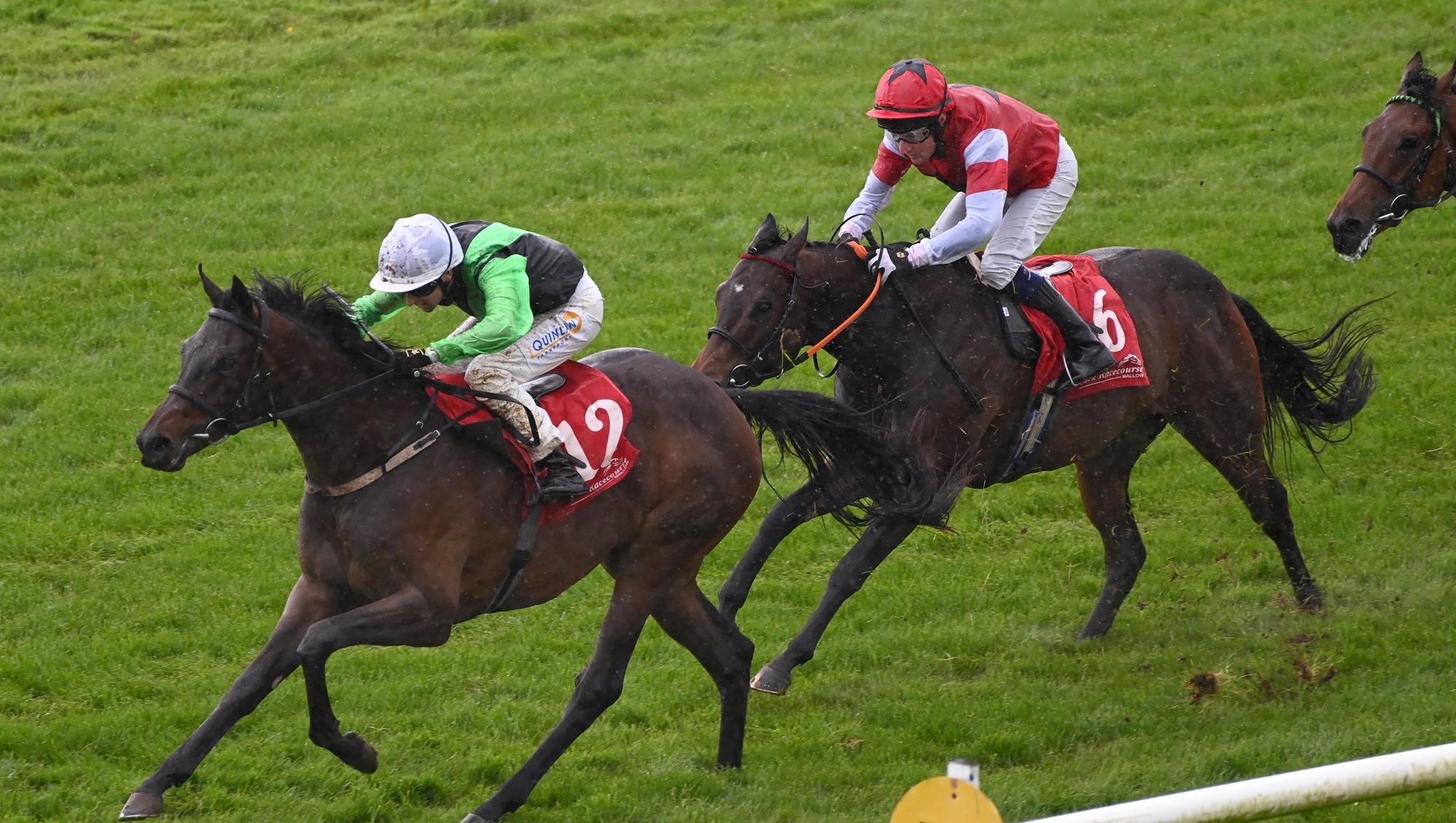 David Marnane lands 76/1 Cork double