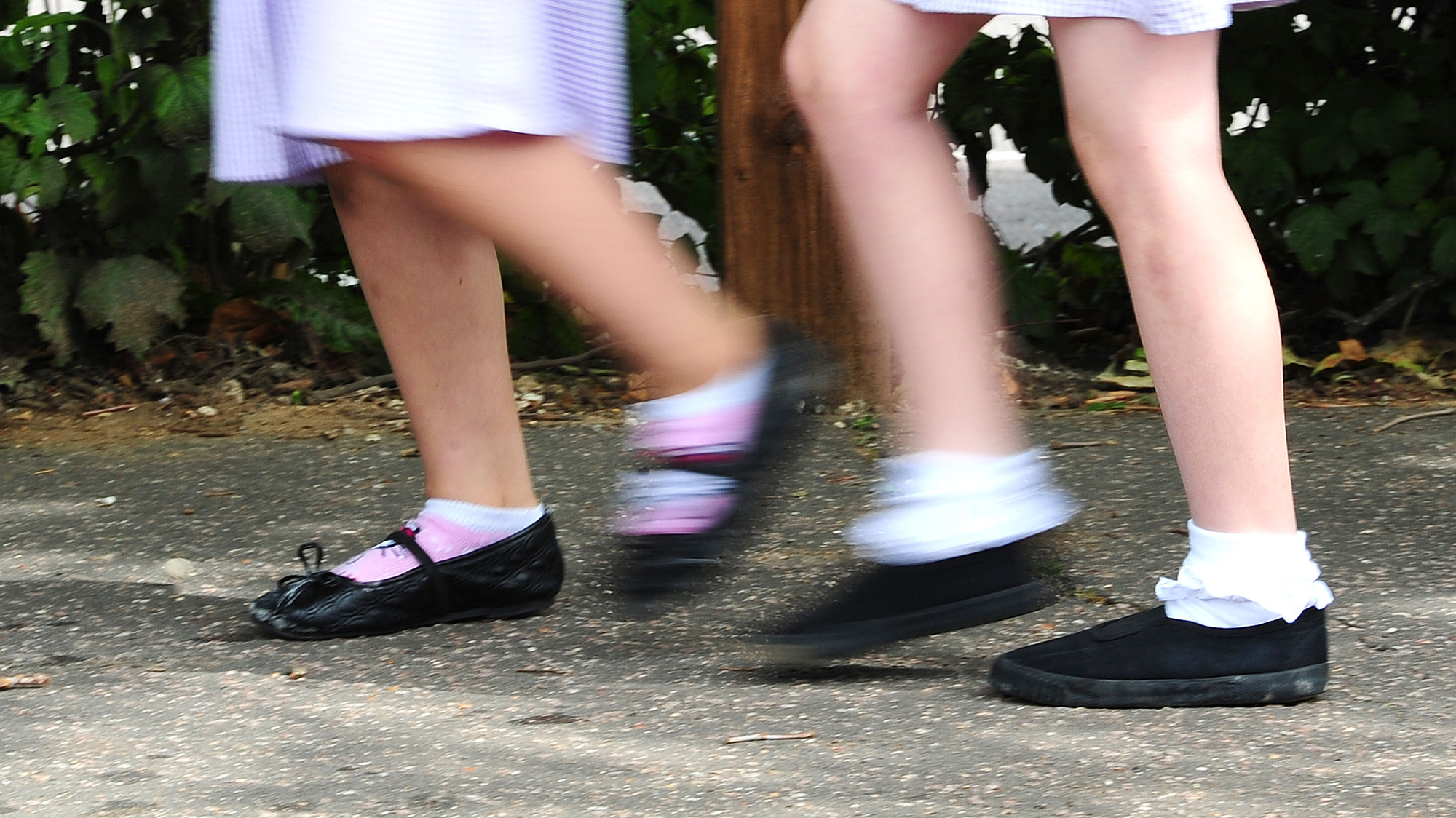 Children with disabilities 'need a national advocacy service'