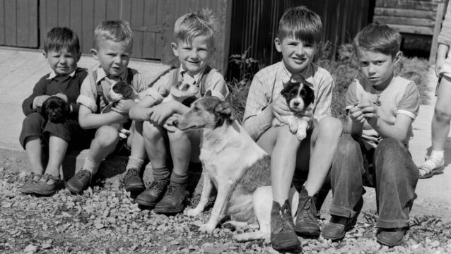 <p>Children from among the 1,000 Hungarian refugees placed at Knockalisheen Co Clare in 1956. Picture courtesy of Sean Curtin</p>
