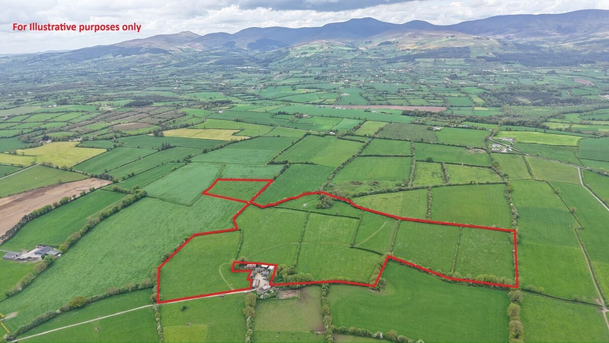The 34-acre farm at Dangan, Ballyporeen, Co Tipperary.