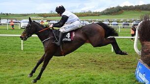 <p>Look To The West and Rachael Blackmore won at Kilbeggan for trainer Henry de Bromhead in April, 2025. Pic: Healy Racing</p> <p>Look To The West and Rachael Blackmore won at Kilbeggan for trainer Henry de Bromhead in April, 2025. Pic: Healy Racing</p>