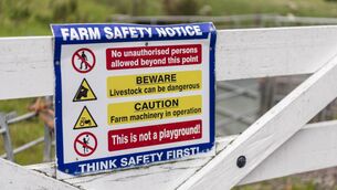 <p>Projects include farmer health and wellbeing checks, livestock handling training, and tractor driving safety awareness training for children 14 years of age and older.</p>