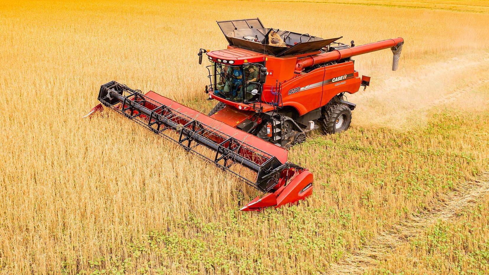 Stephen Cadogan: Reduced cultivation helps in region lacking in soil moisture