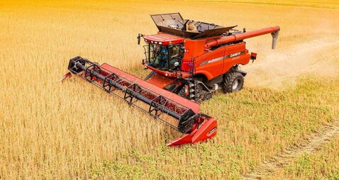 Stephen Cadogan: Reduced cultivation helps in region lacking in soil moisture