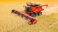 Could you be Flahavan's 2023 Oat Grower of the Year?