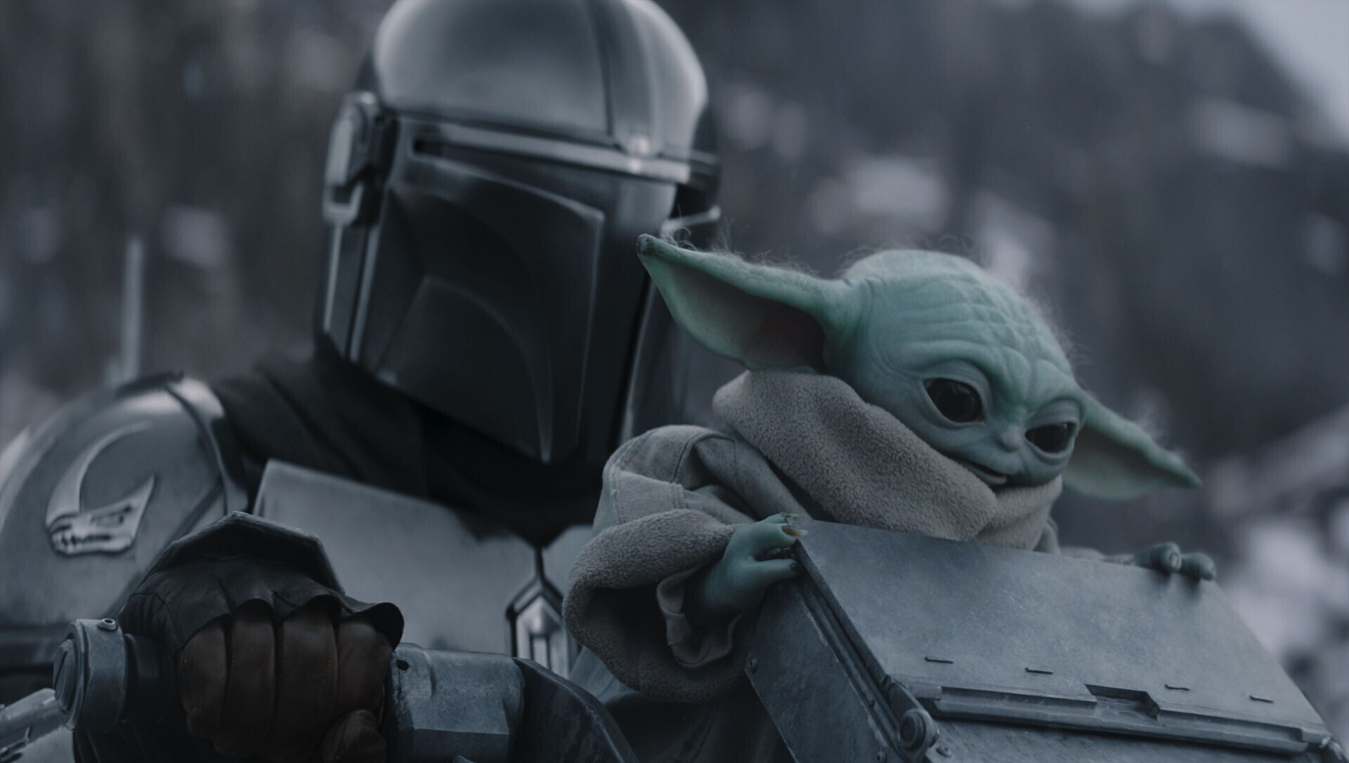 Quiz: From Kerry scenes to Jedi ways, how well do you know the Star Wars universe?
