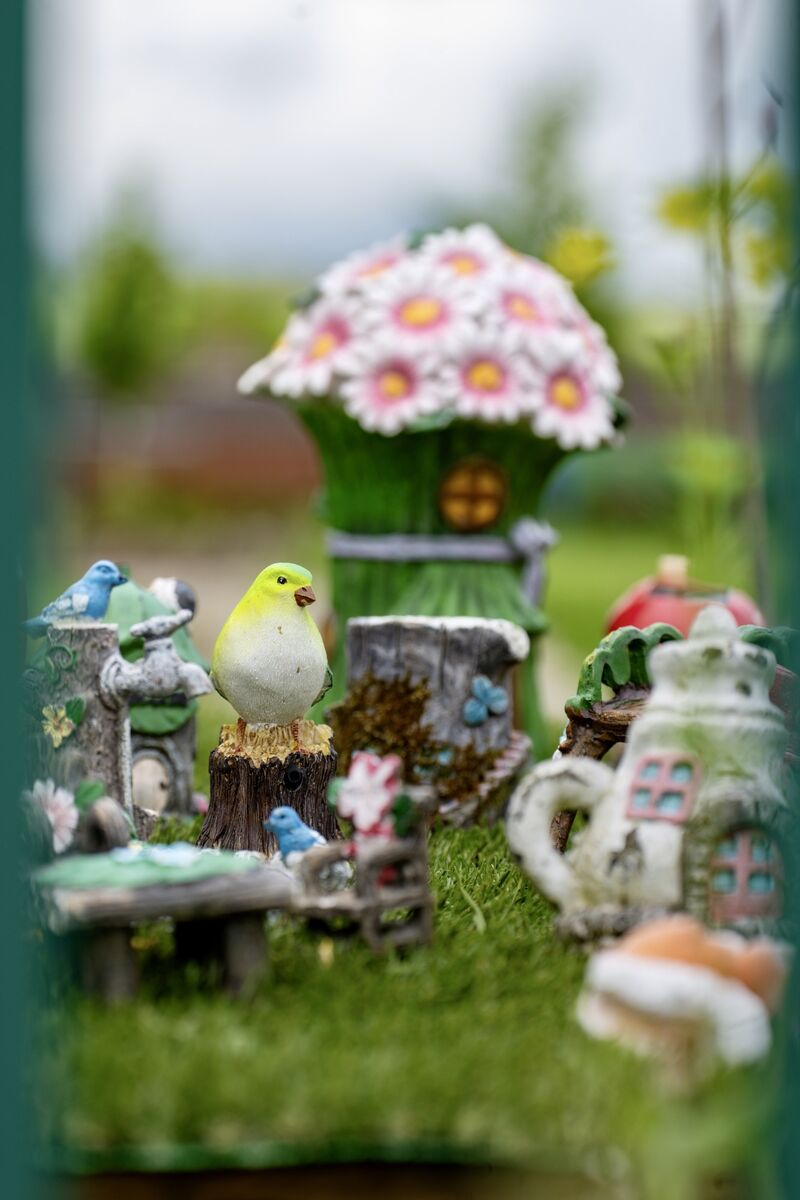 A fairy house nestled within the Carrigtwohill community garden reflects the town’s family-friendly ethos and the growing emphasis on imaginative, inclusive outdoor spaces for younger residents. Picture: Chani Anderson A fairy house nestled within the Carrigtwohill community garden reflects the town’s family-friendly ethos and the growing emphasis on imaginative, inclusive outdoor spaces for younger residents. Picture: Chani Anderson