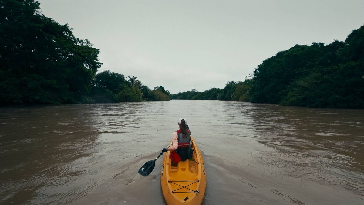 Ciara Mageean paddling down crocodile-infested waters toward the end of her journey with Ray Goggins and Michael Darragh MacAuley in Costa Rica. Picture: RTE. Ciara Mageean paddling down crocodile-infested waters toward the end of her journey with Ray Goggins and Michael Darragh MacAuley in Costa Rica. Picture: RTE.