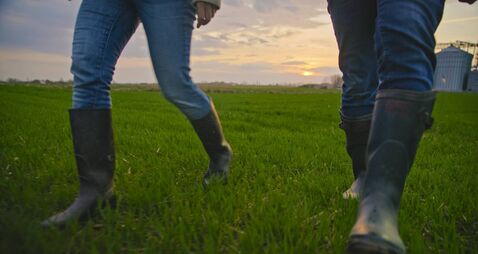 Low Section of Agronomists in Rubber Boots Strolling Across Organic Farm