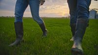 Low Section of Agronomists in Rubber Boots Strolling Across Organic Farm