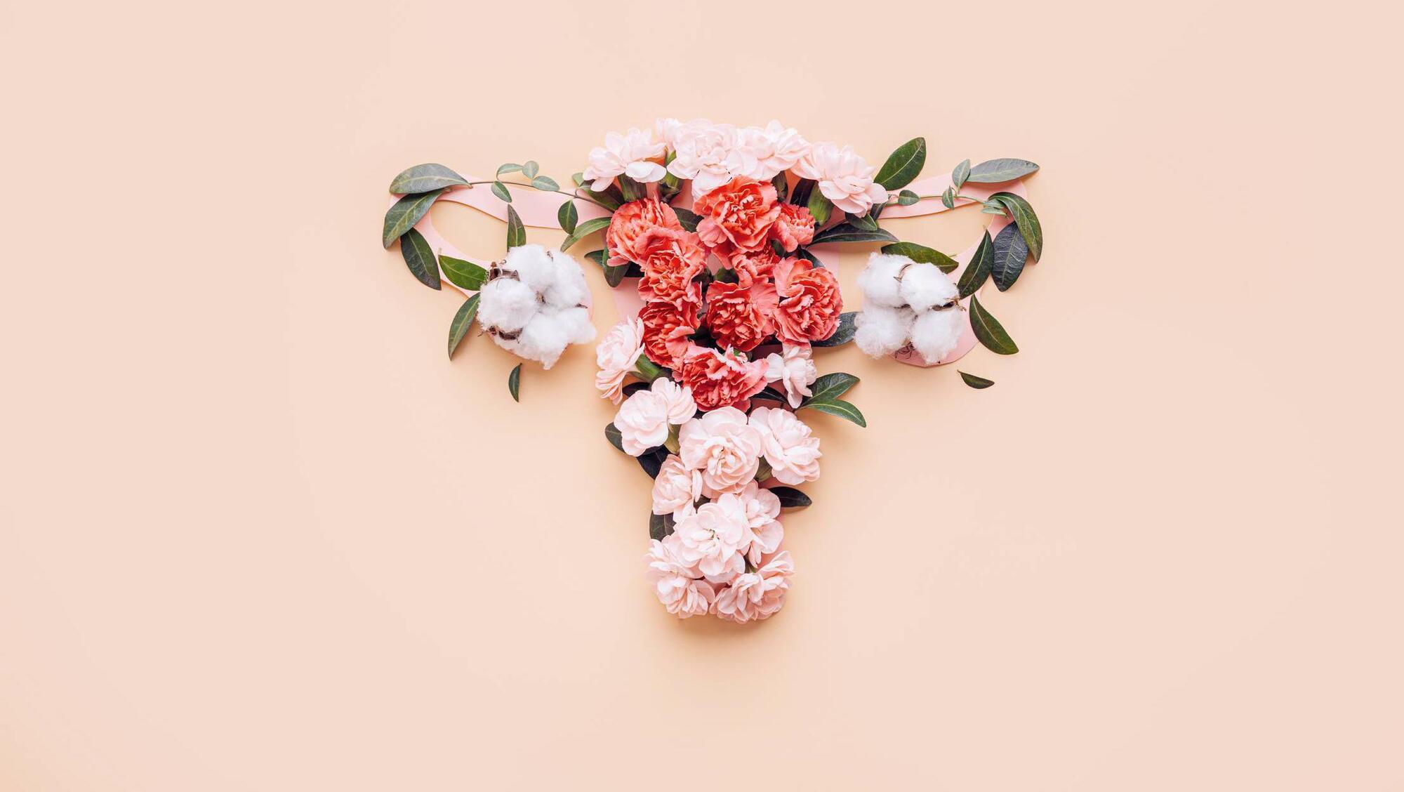 Natural Health: Is there an alternative to vaginal oestrogen? 