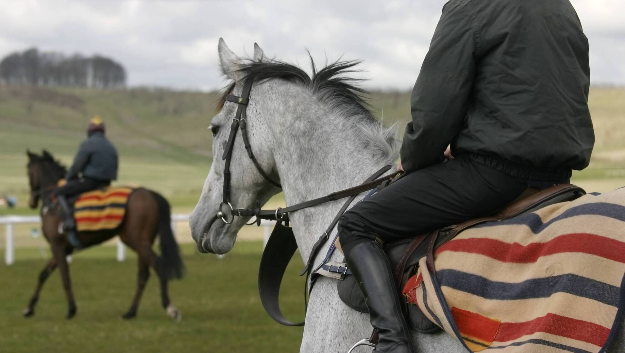 Horse Sport Ireland launches new 2030 strategic plan