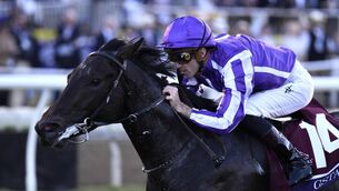 <p>Gstaad was the only horse to seriously give Bow Echo a race at Newmarket and is a long odds-on favourite to claim his own Classic. Pic: Getty Images</p> <p>Gstaad was the only horse to seriously give Bow Echo a race at Newmarket and is a long odds-on favourite to claim his own Classic. Pic: Getty Images</p>