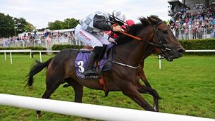 <p>Mr Master Mac and John Gleeson (near) win the WTW Willis Insurance Brokers Flat Race at Sligo last year from Circus Hill (far). Pic: Healy Racing</p> <p>Mr Master Mac and John Gleeson (near) win the WTW Willis Insurance Brokers Flat Race at Sligo last year from Circus Hill (far). Pic: Healy Racing</p>