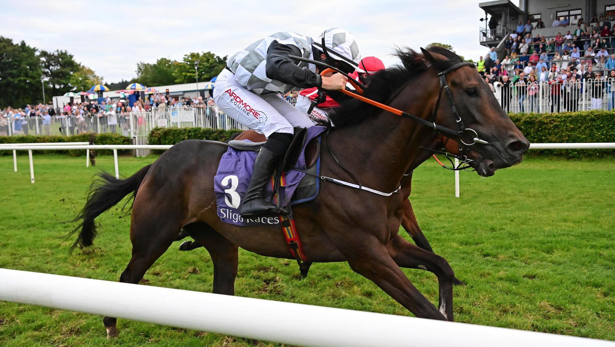 Mr Master Mac can keep Fahey run going at Downpatrick