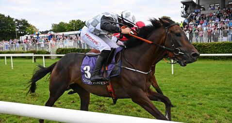 Mr Master Mac can keep Fahey run going at Downpatrick