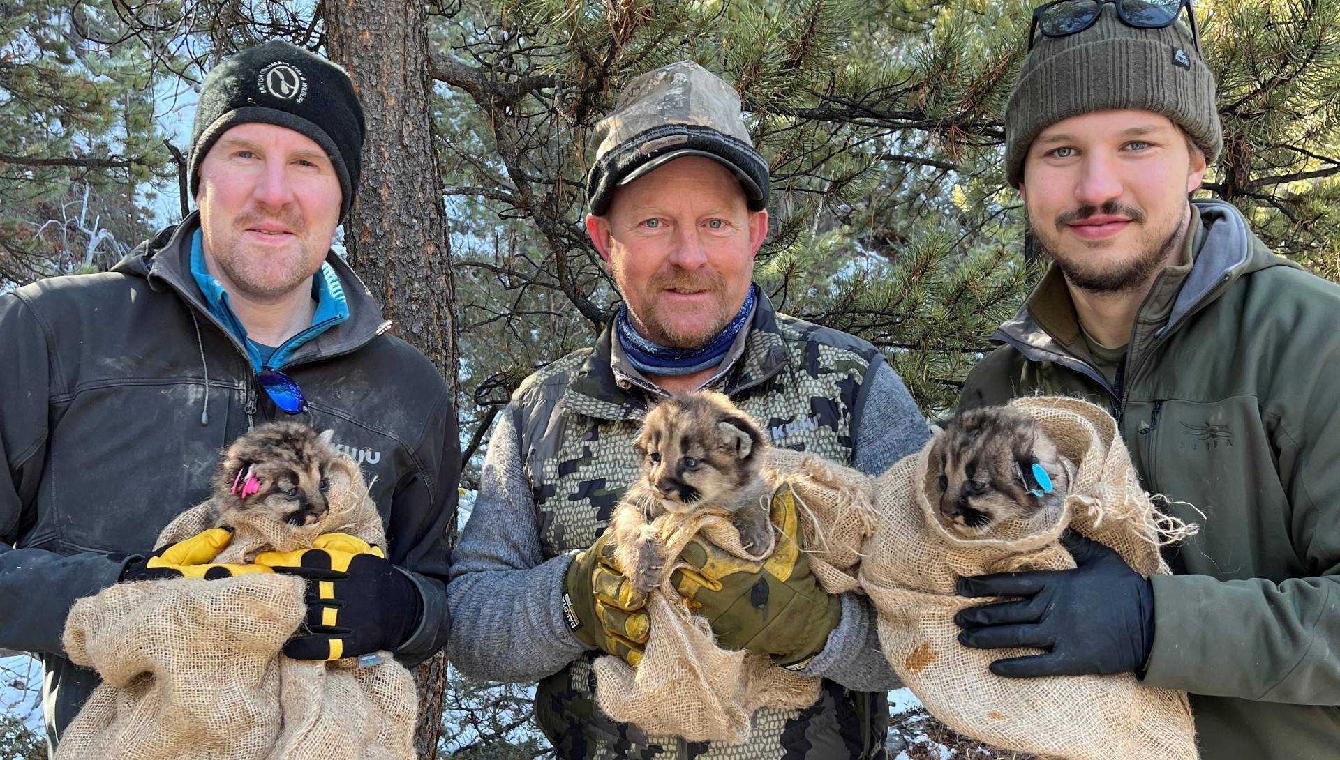 Meet the Cork biologist risking his life to track cougars and grizzly bears in Canadian wilderness