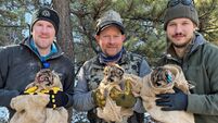 Meet the Cork biologist risking his life to track cougars and grizzly bears in Canadian wilderness