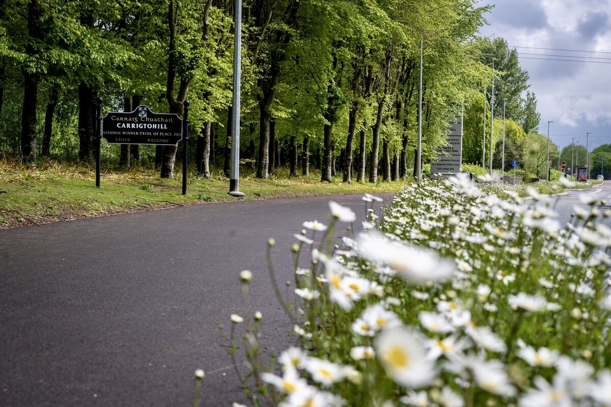 Town signage stands along the flowering greenway on the approach to Carrigtwohill, a town that continues to grow as a vibrant commuter hub while investing in sustainable infrastructure and active travel routes for its expanding population. Picture Chani Anderson Town signage stands along the flowering greenway on the approach to Carrigtwohill, a town that continues to grow as a vibrant commuter hub while investing in sustainable infrastructure and active travel routes for its expanding population. Picture Chani Anderson