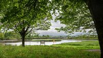 East Cork's idyllic lifestyle drives housing market surge