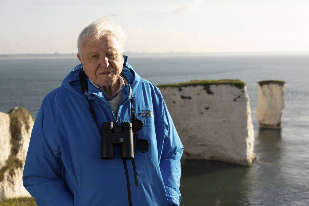 David Attenborough. David Attenborough.