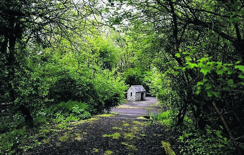 A view of the Carrigtwohill greenway from the community park shows the integration of green spaces and active travel routes that are shaping the town’s future development. Picture: Chani Anderson
                    