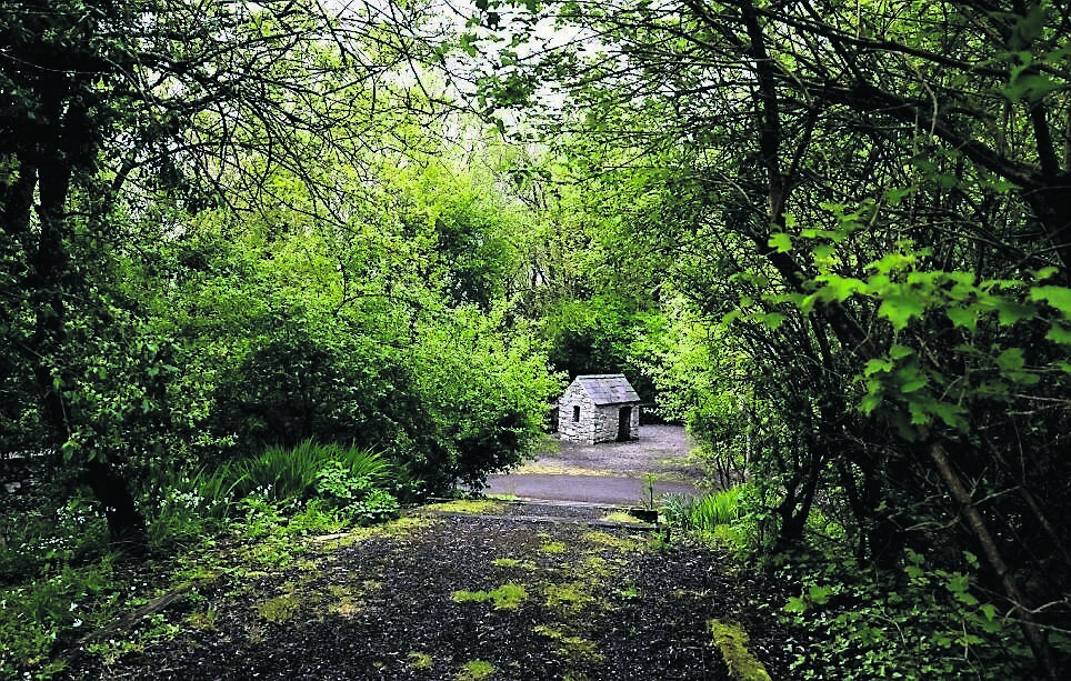 A view of the Carrigtwohill greenway from the community park shows the integration of green spaces and active travel routes that are shaping the town’s future development. Picture: Chani Anderson
                    