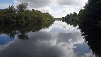 Planning board gives go-ahead to major solar farm turned down by Cork County Council