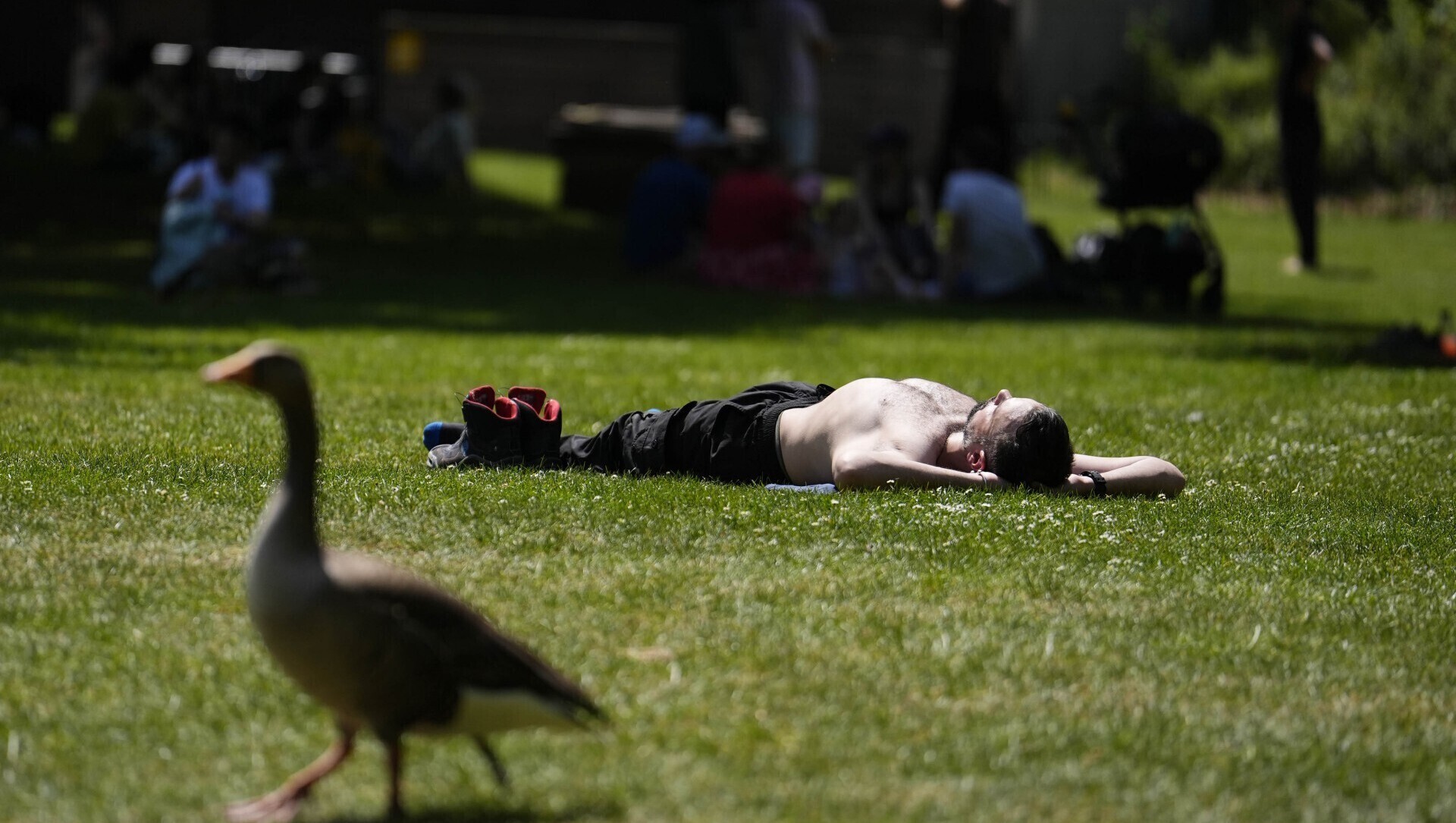 Western Europe braced for first major heat event of summer