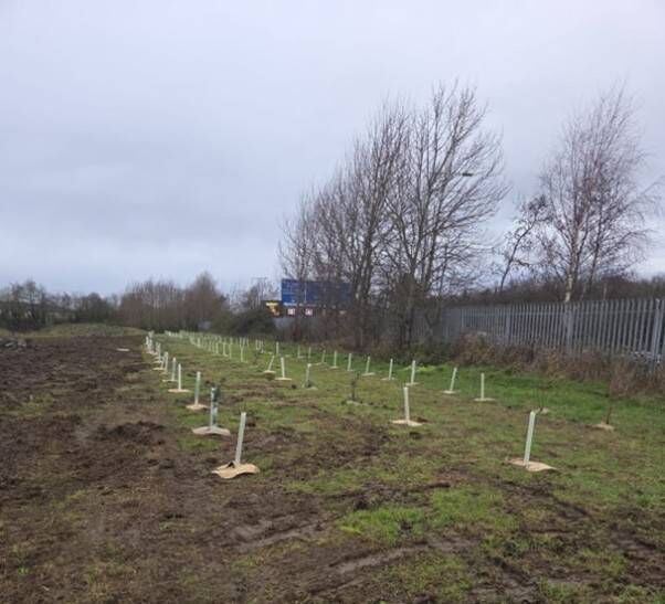 Tree planting near Gas Networks Ireland’s AGI in Abbotstown, Co Dublin. 