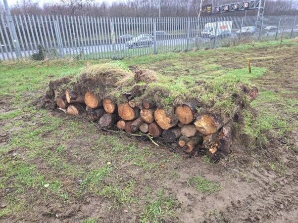 Log piles created near Gas Networks Ireland’s AGI in Abbotstown, Co Dublin. 
