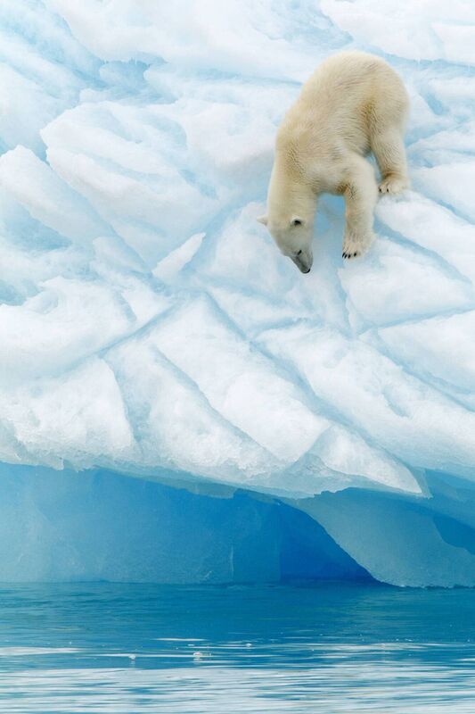 Fancy a micro cruise for solo travellers to the Arctic this summer? Fancy a micro cruise for solo travellers to the Arctic this summer?