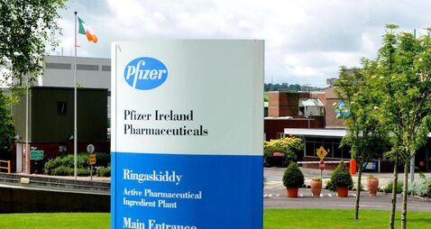 Cahirmee horse fair