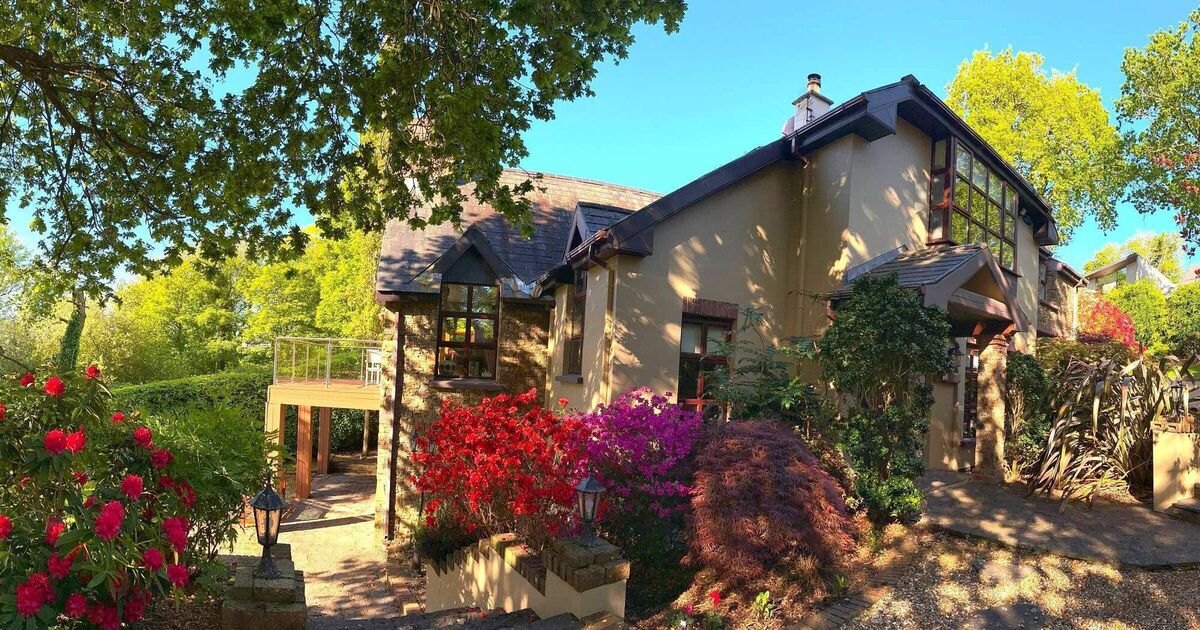€1.25m golf course-adjacent four-bed Monkstown home offers unparalleled calm and serenity