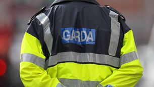 <p>Gardaí intend to subject all of the items seized to a full technical and forensic examination.</p> <p>Gardaí intend to subject all of the items seized to a full technical and forensic examination.</p>