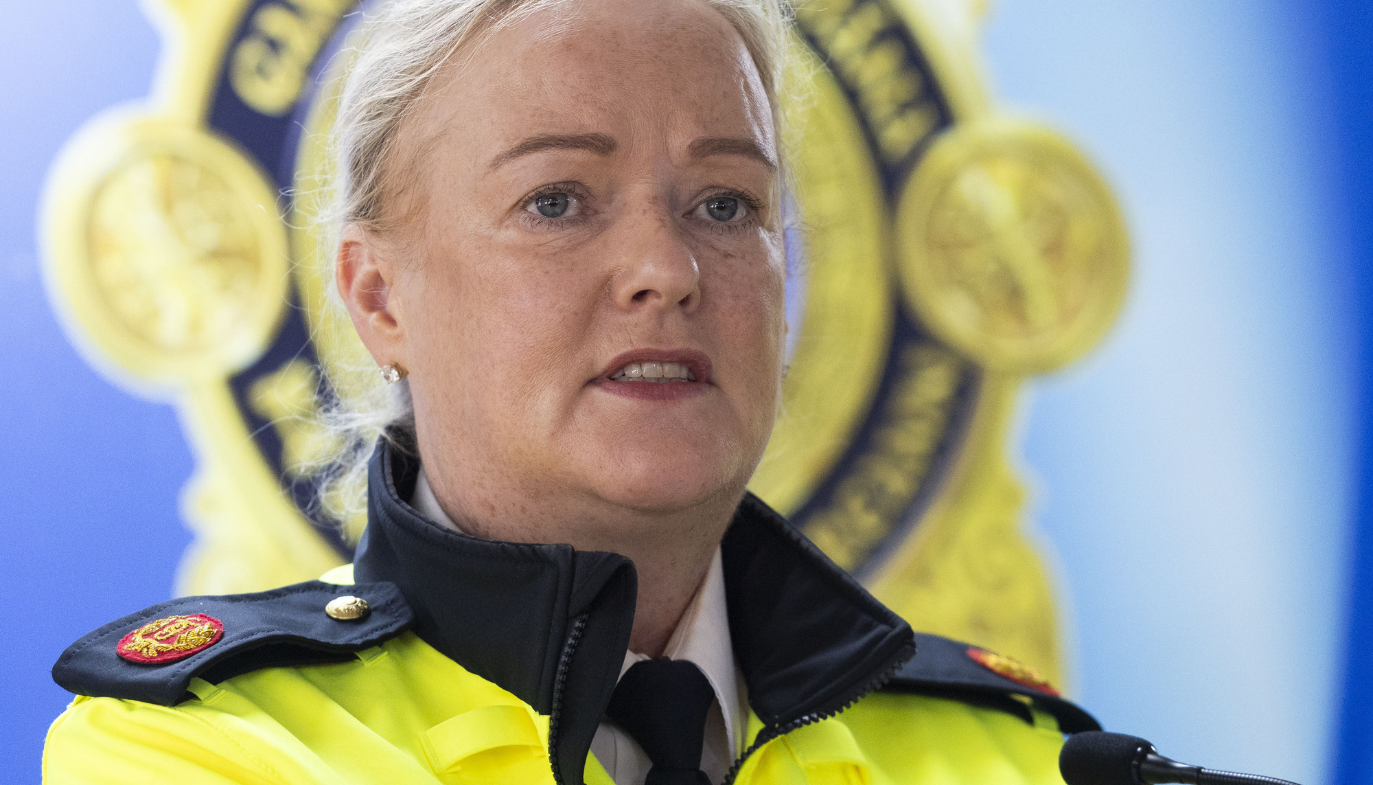 Violence against women: Senior garda warns of 'manosphere' 