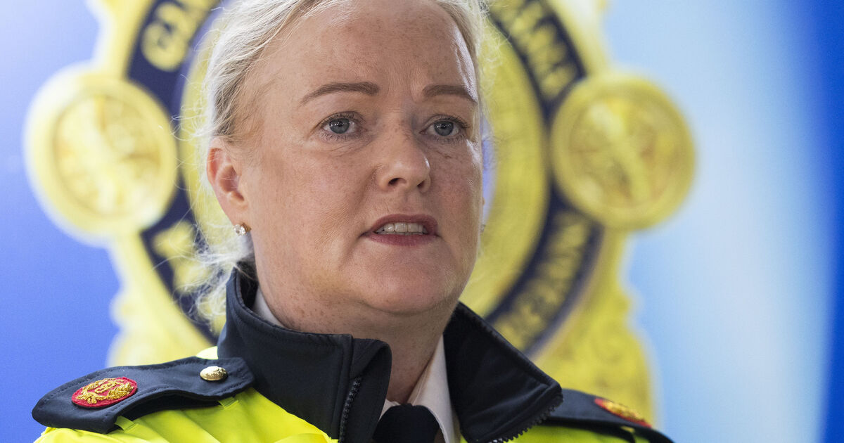 Violence against women: Senior garda warns of 'manosphere'