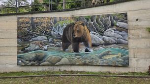 <p>The unique Marsican brown bear, pictured in a mural in the Abruzzo region of Italy. The abandonment of land a villages to nature has allowed a phenomenal recovery of wildlife in the area. Pictures: Pádraic Fogarty</p> <p>The unique Marsican brown bear, pictured in a mural in the Abruzzo region of Italy. The abandonment of land a villages to nature has allowed a phenomenal recovery of wildlife in the area. Pictures: Pádraic Fogarty</p>