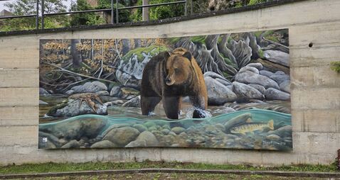 Human nature: Rewilding as a means to avoid a future of decline