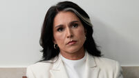 Trump Gabbard