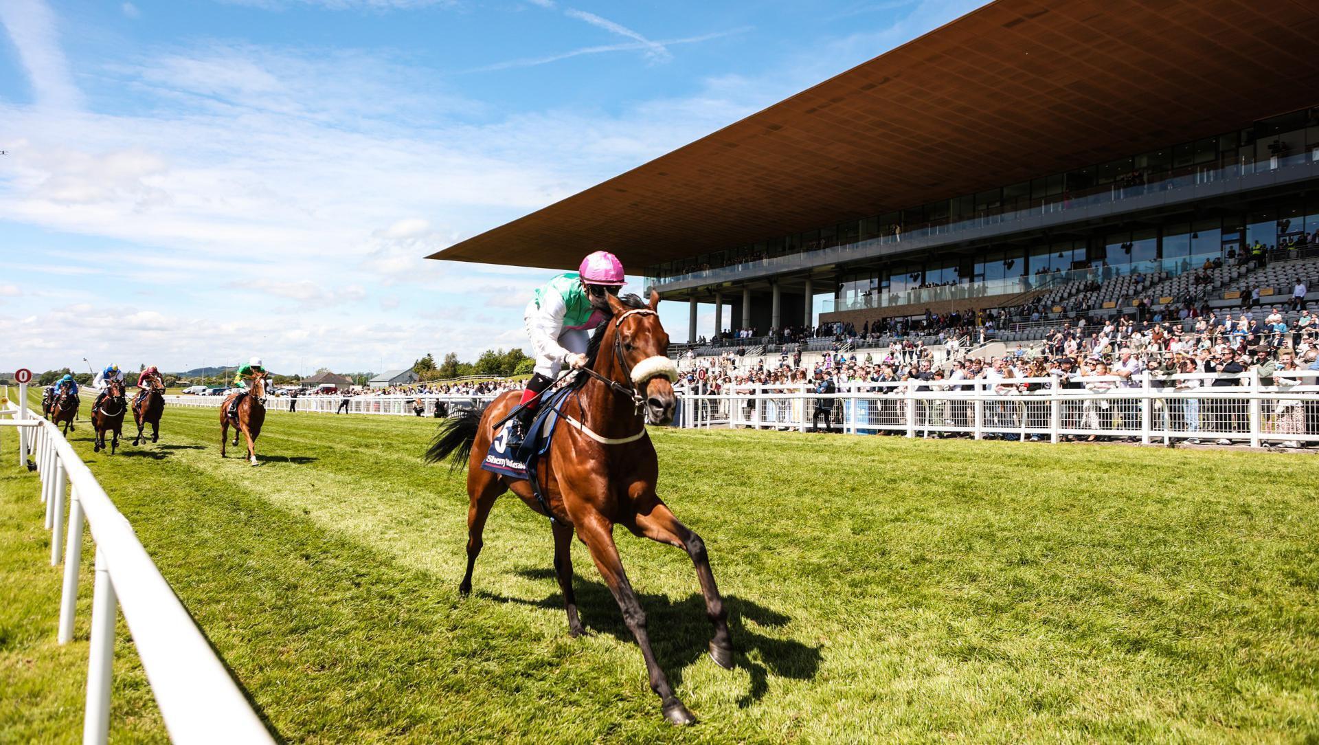 Purview shows potential with Orby Stakes triumph at the Curragh 