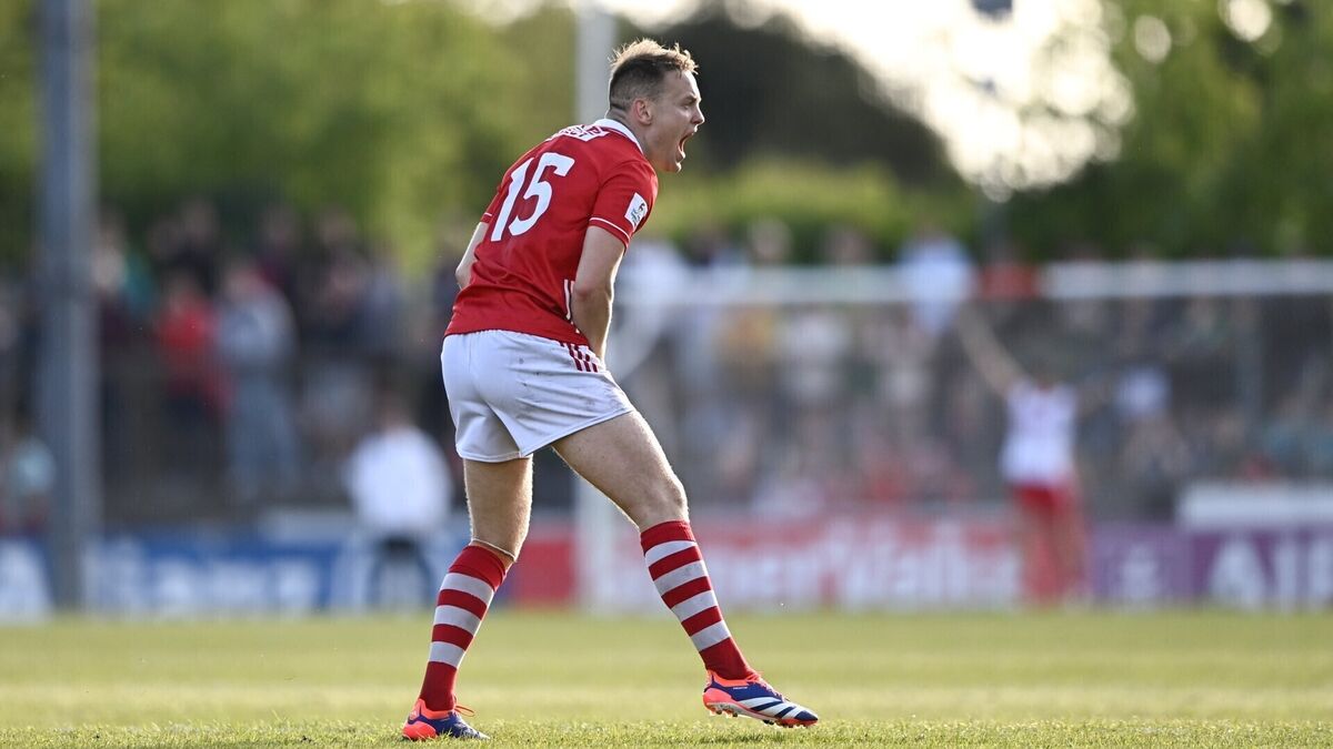 As it happened: Sherlock leads 14-man Cork to epic comeback win over Meath