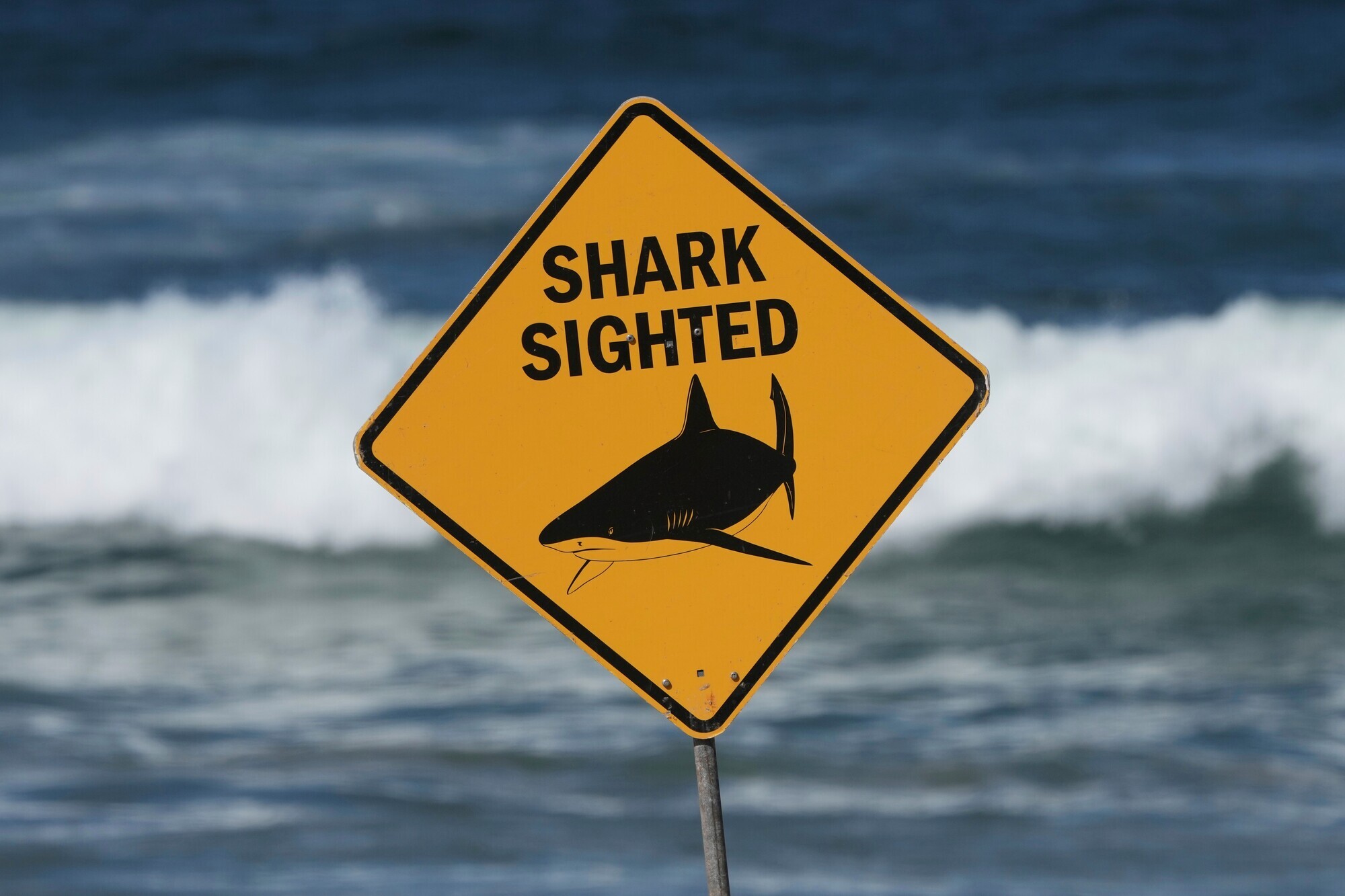Fisherman mauled on Great Barrier Reef in second fatal shark attack in a week