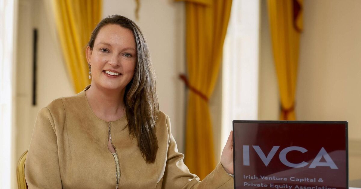 Venture capital funding for Irish SMEs falls by 58%