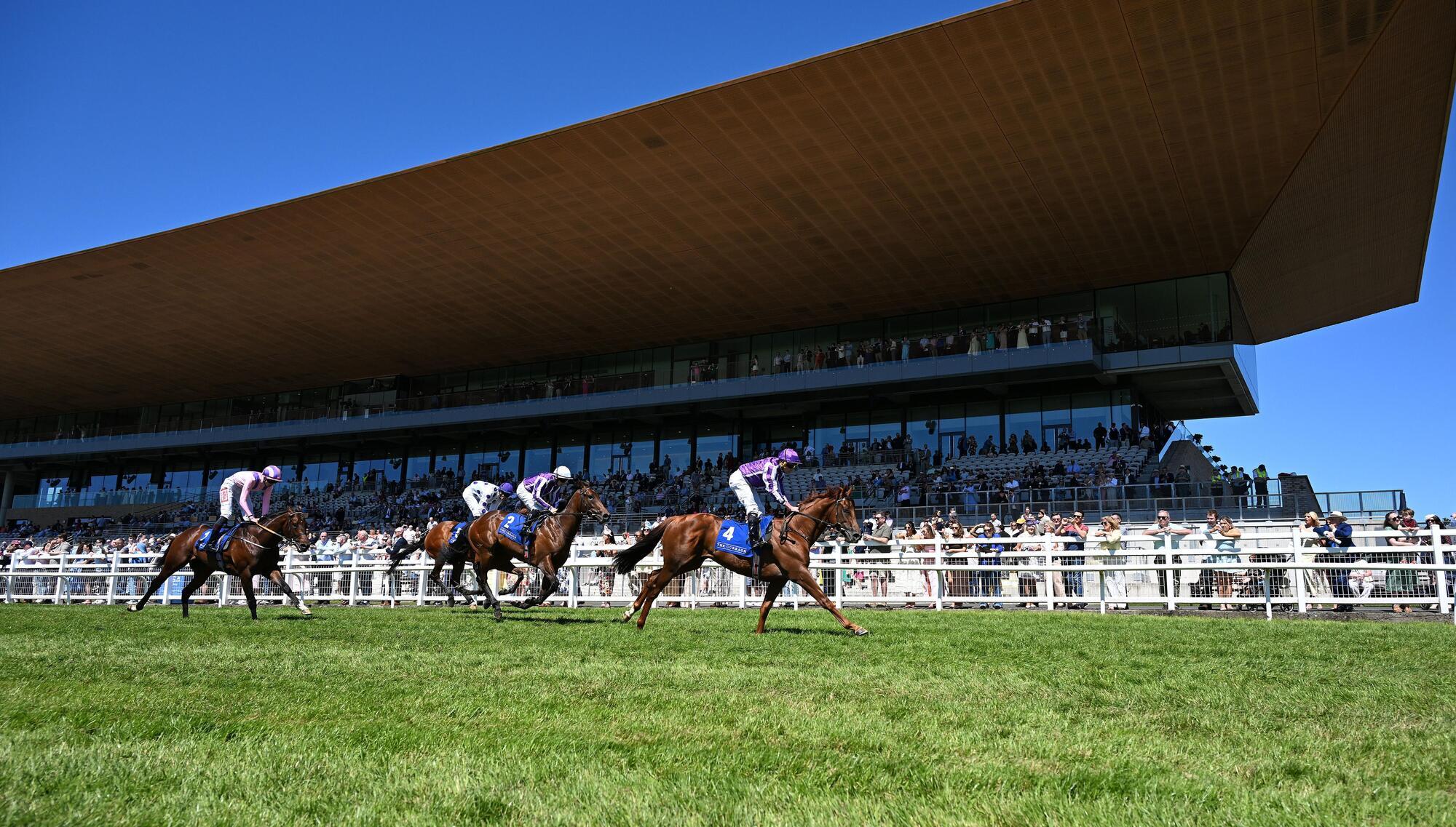 Constitution River new Derby favourite after market move - but Aidan O'Brien unsure if Epsom's the plan