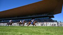 Constitution River new Derby favourite after market move - but Aidan O'Brien unsure if Epsom's the plan