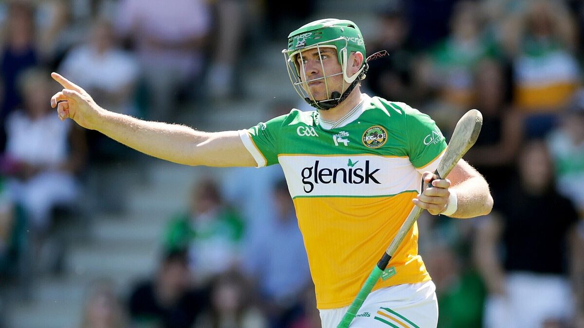 Clinical Offaly reach All-Ireland quarter-finals at Kilkenny's expense